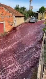 Red Wine River