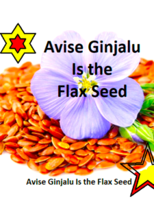 Avise Ginjalu Is the Flax Seed