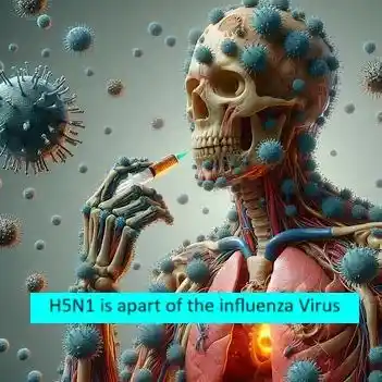 H5N1 virus a pandemic or 1 enigma 1 H5N1 viruses