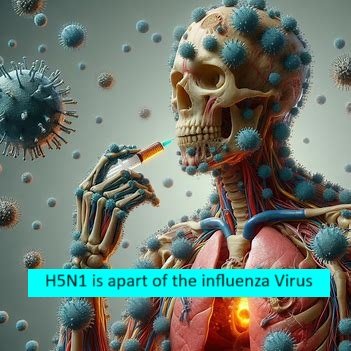 H5N1 viruses