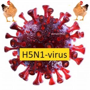 H5N1 virus