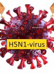 H5N1 virus